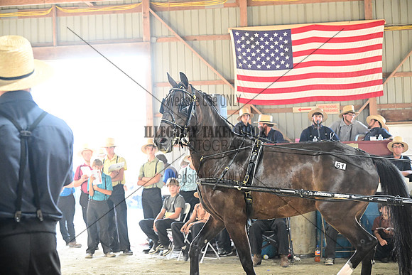 AJB_0683
