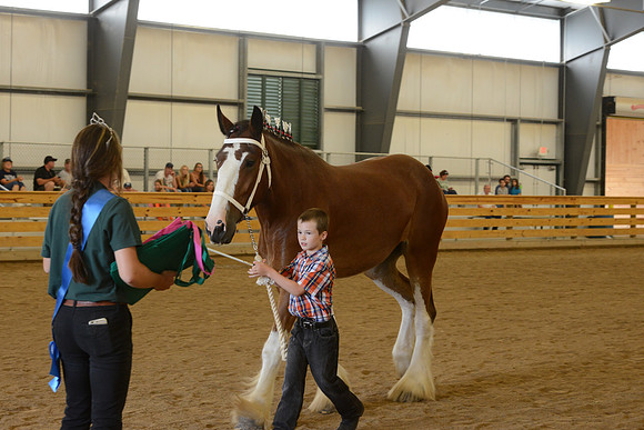 Jr. Youth Showmanship-46