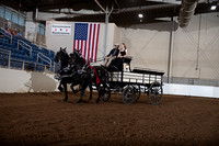 Registered Mares - Team
