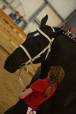 Jr. Youth Showmanship-41
