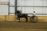 Men’s Cart_percherons-7