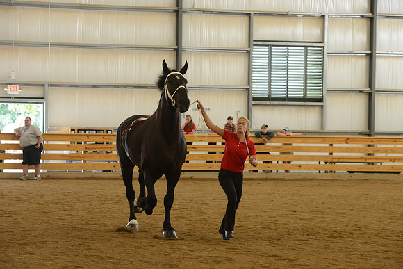 Jr. Youth Showmanship-20