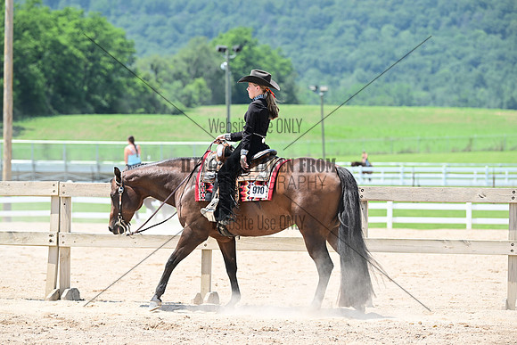 AJB_6019