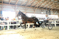 AJB_0679