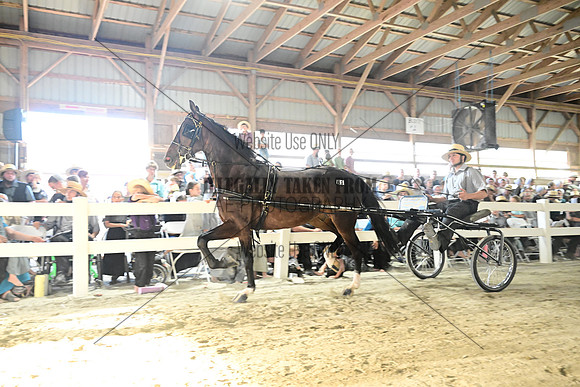 AJB_0679