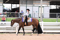 95. 13 and Under Western Pleasure