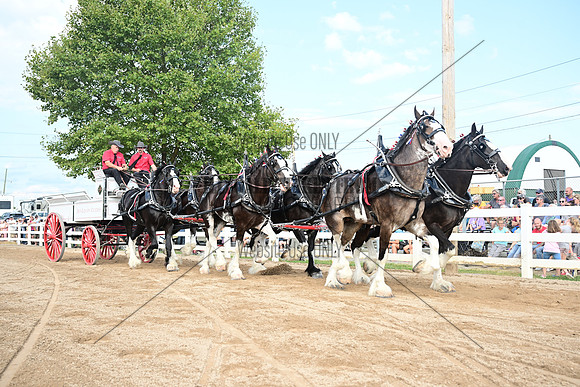 AJB_0444