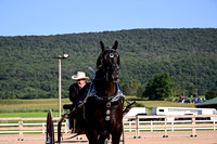 AJB_4416