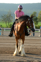 Open Riding_wtc-16
