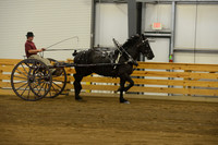 Men’s Cart_percherons-14