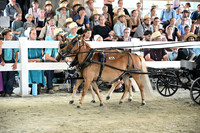 AJB_0380
