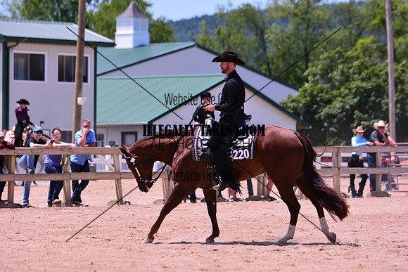 D71_1299