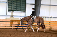141. Level 1 Youth WT Hunter Under Saddle
