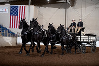 Registered Mares - Four-Horse Hitch