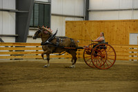 Ladies Cart_Belgians-10