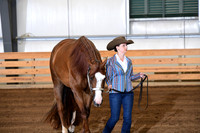 71. Amateur Performance Mares