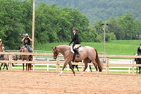 AJB_6913