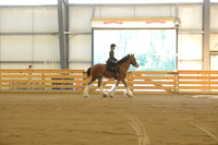 Open Riding English_wtc-5