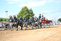 AJB_0461