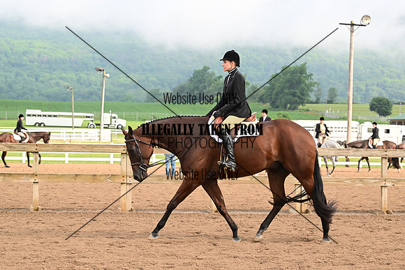 AJB_6334