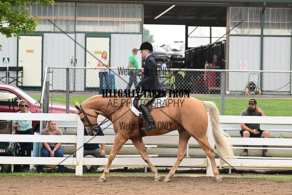 AJB_6317