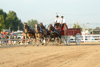 Four Horse Hitch_Amateur_youth-2