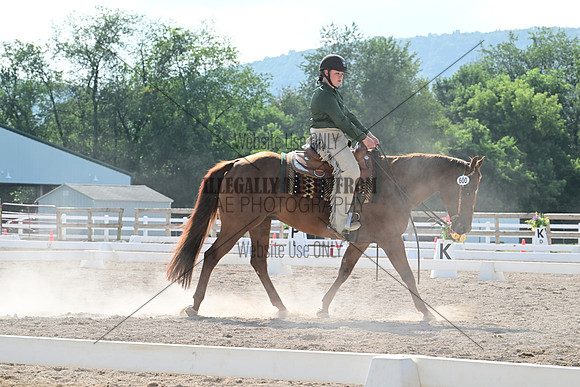 AJB_3628