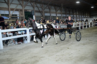 AJB_0959