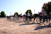 AJB_4647