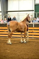 AJB_5959