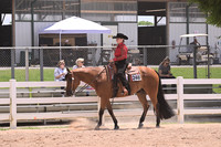 252. Level 1 Rookie Amatuer Western Pleasure