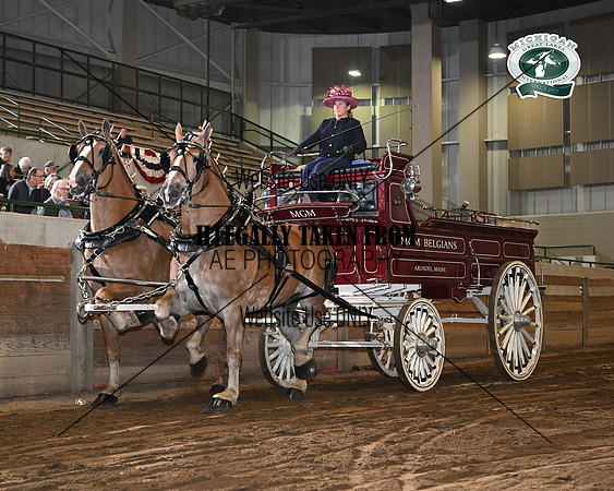 mgm_2102