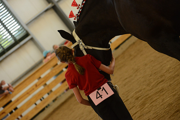 Jr. Youth Showmanship-39