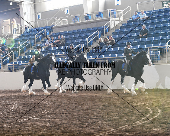 shires_6341
