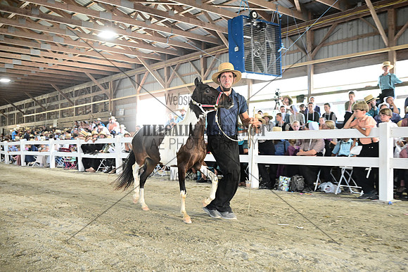 AJB_0343
