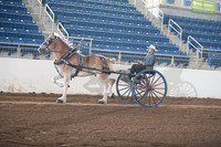 Belgian - Men's Cart