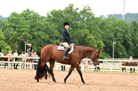 AJB_6876