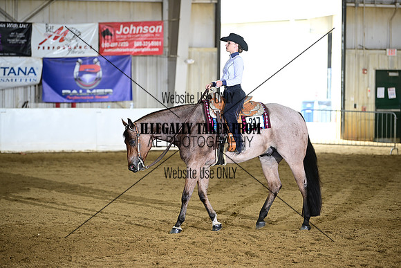 ASH_5338