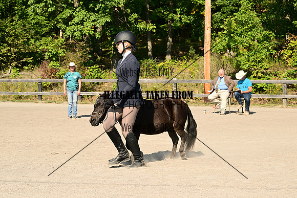 AJB_0370