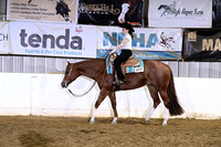 ASH_6193