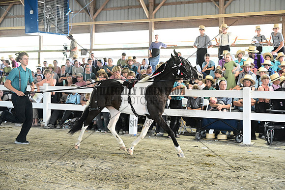 AJB_0223