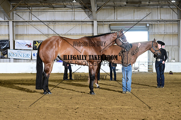 ASH_2430