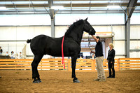AJB_6146