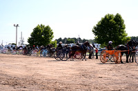 AJB_4654