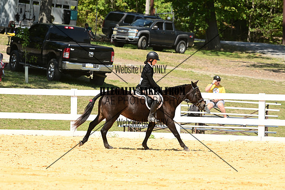 AJB_0781