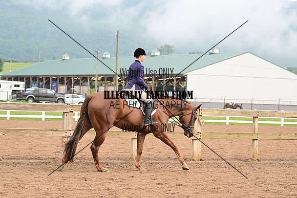 AJB_6219