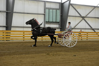 Men’s Cart_percherons-4