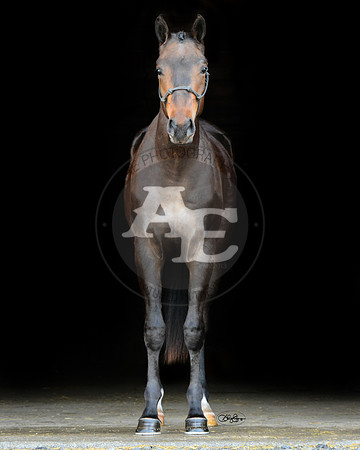 Indy_PSU2_4492