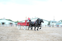 AJB_0873