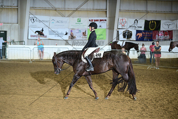 AJB_4251